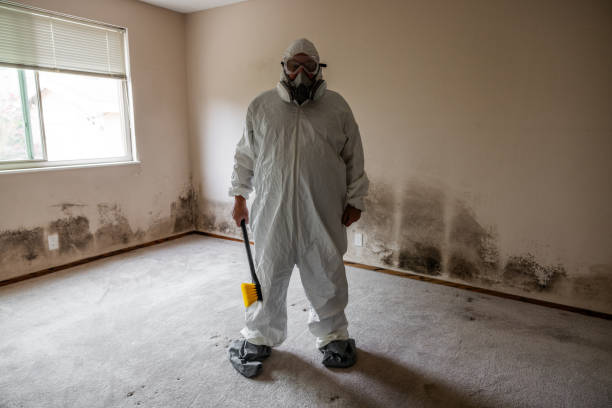 Best Mold Remediation Services  in Blanding, UT